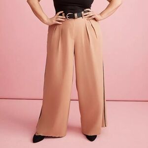 Lane Bryant Pleated Wide Leg Pant With Side-Trim NWT Size 20